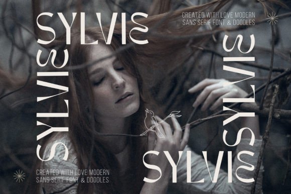 Sylvie: A Designer's Practical Review for Real Projects