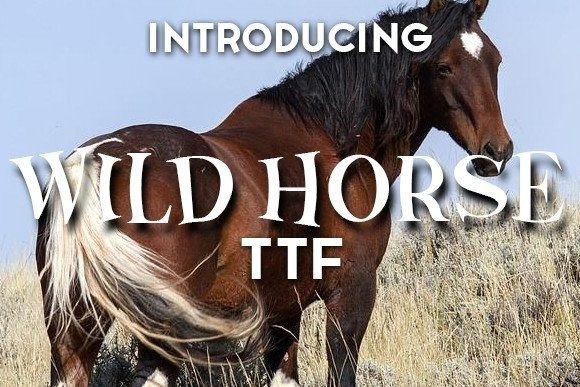 Wild Horse: A Playful Display Font for Campaign Creators